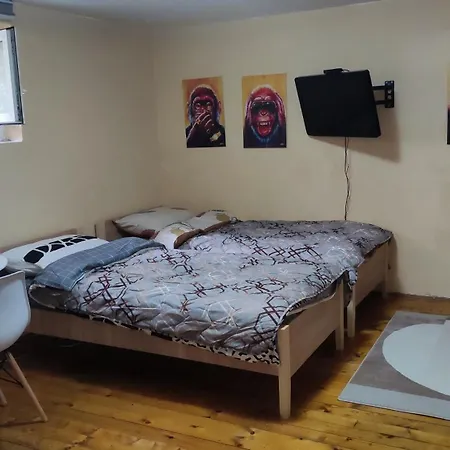 Apartment Goxy Flat *