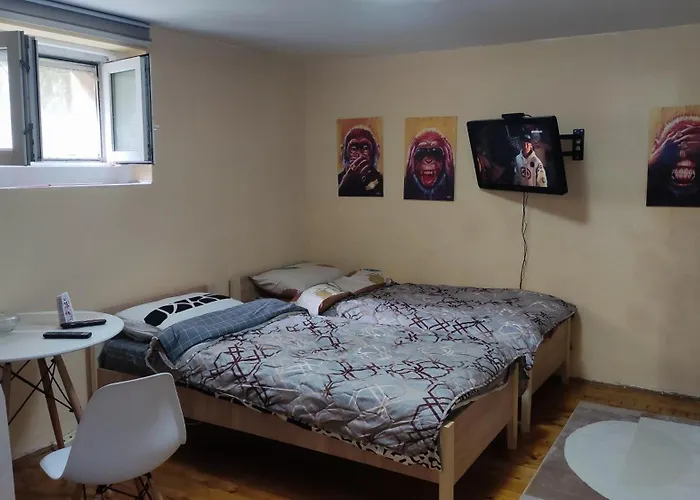 Goxy Flat بلغراد